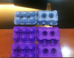 Egg Cartons