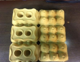 Egg Cartons