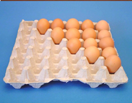 Egg Trays